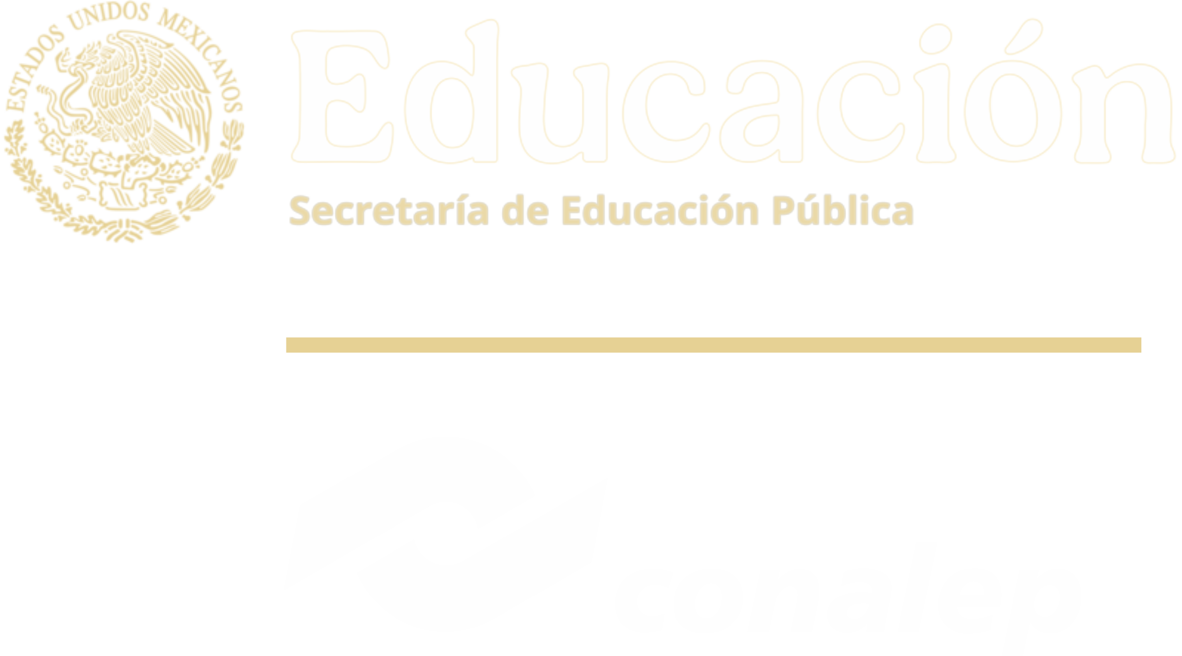 Academi
